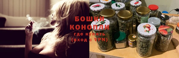 PSILOCYBIN Балахна