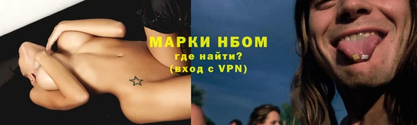 PSILOCYBIN Балахна