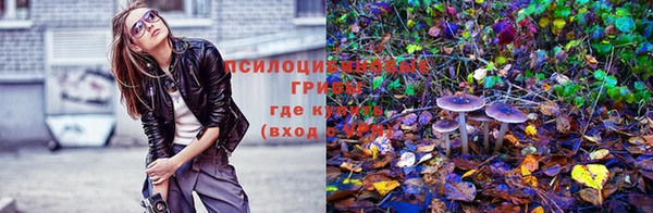 PSILOCYBIN Балахна