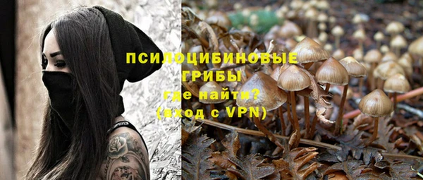 PSILOCYBIN Балахна