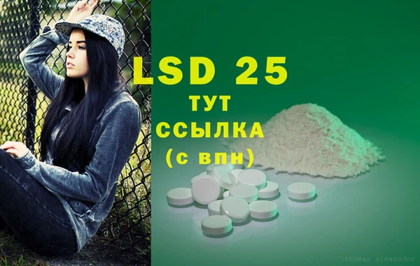 PSILOCYBIN Балахна