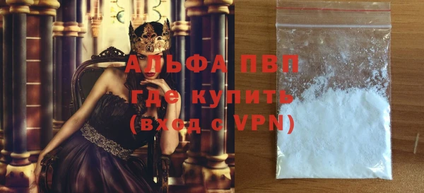 PSILOCYBIN Балахна